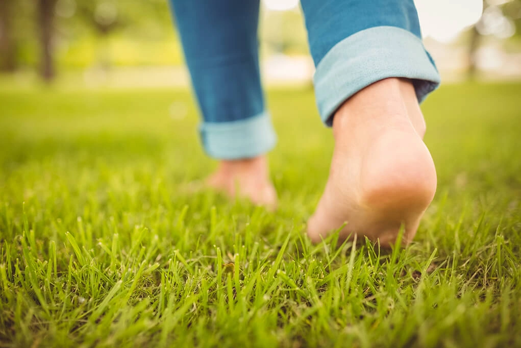Lawn restoration in Groveland, FL
