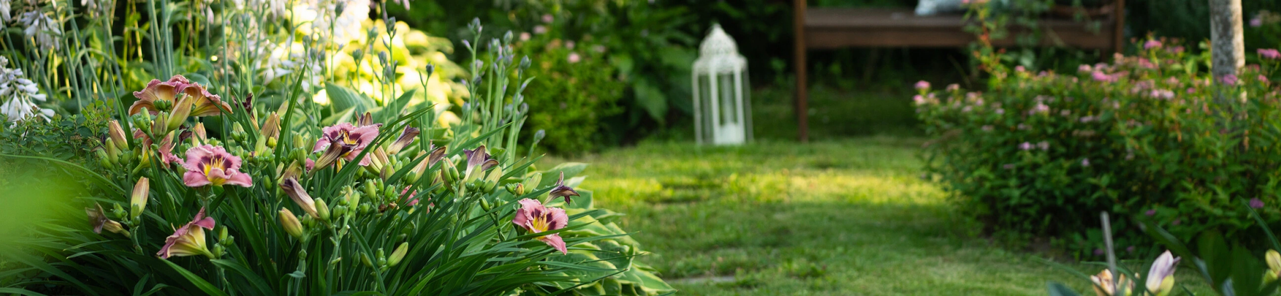 Oxford Lawn’s team in a backyard garden