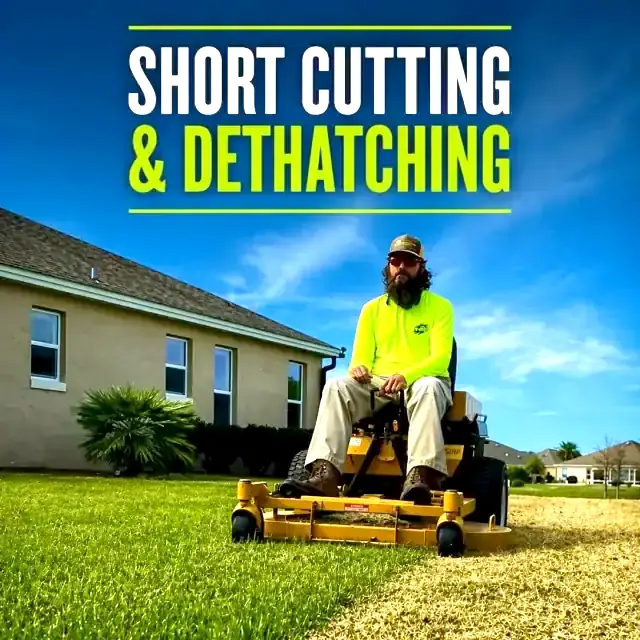 Dethatching — Oxford Lawn