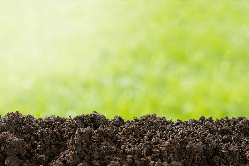 Lawn restoration in Fruitland Park, FL