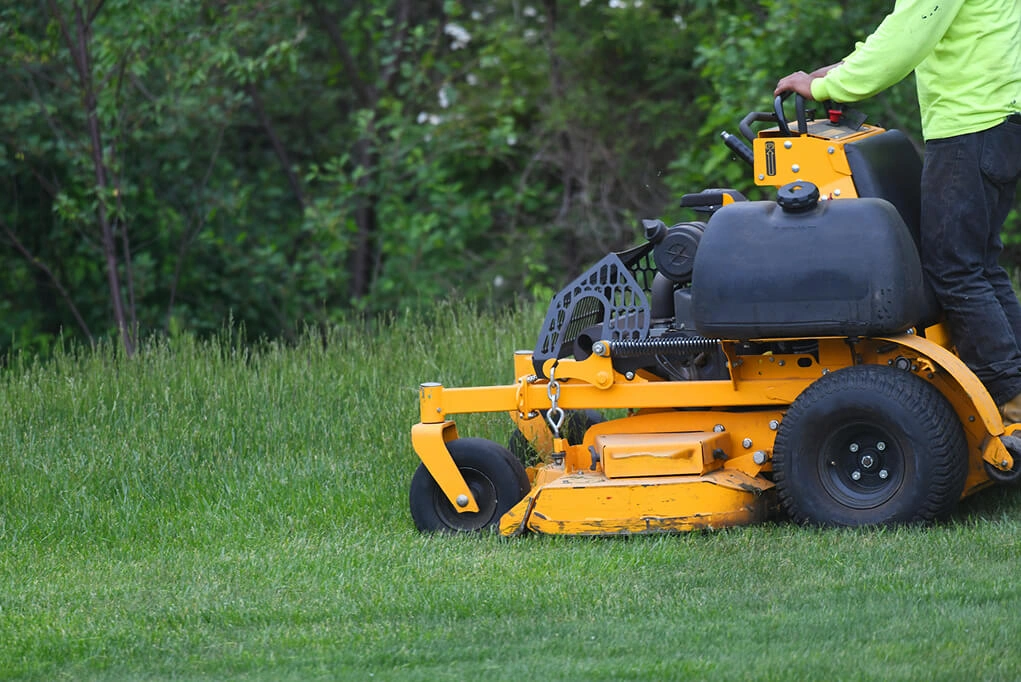 Lawn restoration in Lady Lake, FL