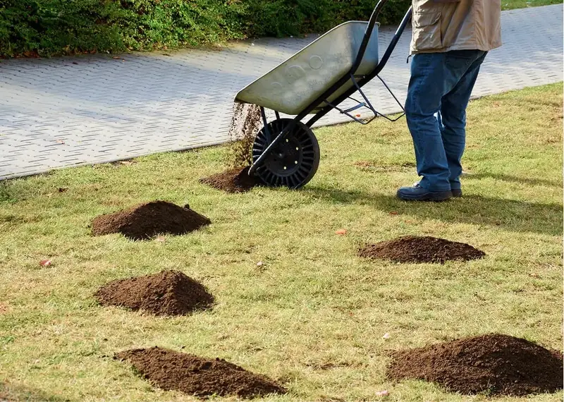 A lush green Florida lawn restored after Oxford Lawn’s soil-driven treatment