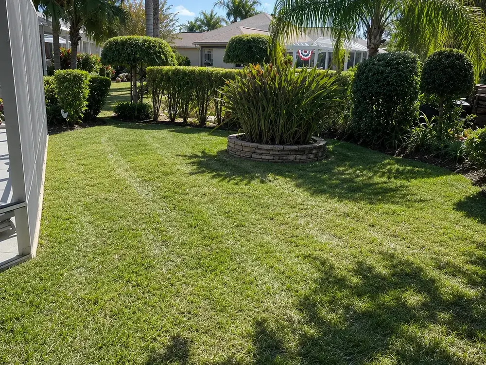 After — the same yard with dense, even, deep-green grass filling the space between the hedges and stone planter, the typical result after a soil-driven restoration