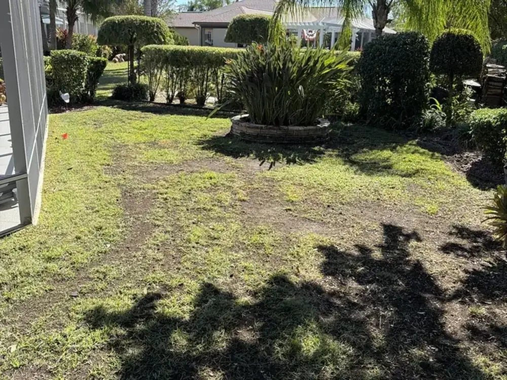 Before — a Florida residential yard with bare-dirt strips and thin patchy grass between the hedges and stone planter, the typical state of a lawn that needs restoration