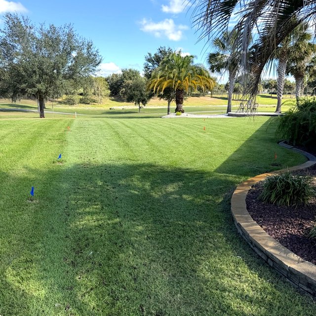 Lush green Florida lawn after Oxford Lawn restoration